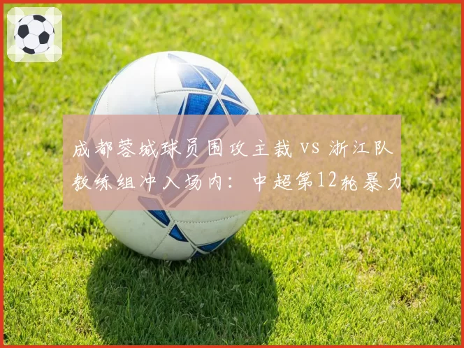 成都蓉城球员围攻主裁 vs 浙江队教练组冲入场内:中超第12轮暴力冲突全回顾