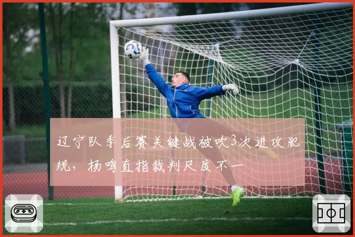 辽宁队季后赛关键战被吹3次进攻犯规,杨鸣直指裁判尺度不一