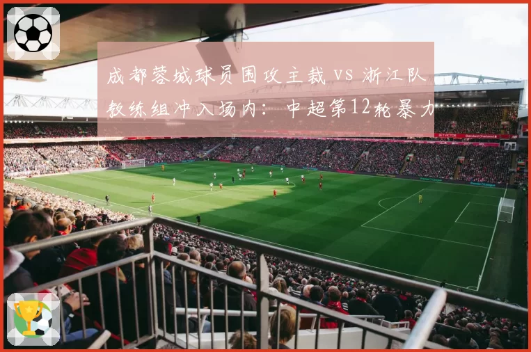 成都蓉城球员围攻主裁 vs 浙江队教练组冲入场内：中超第12轮暴力冲突全回顾