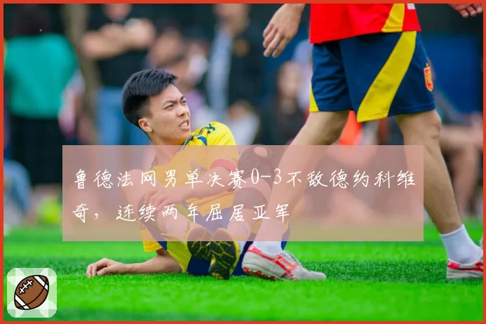 鲁德法网男单决赛0-3不敌德约科维奇,连续两年屈居亚军