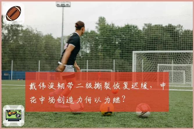 戴伟浚韧带二级撕裂恢复迟缓,申花中场创造力何以为继?