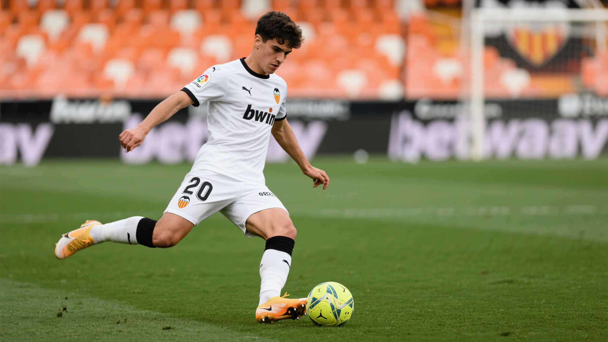 过了新政 过了新政